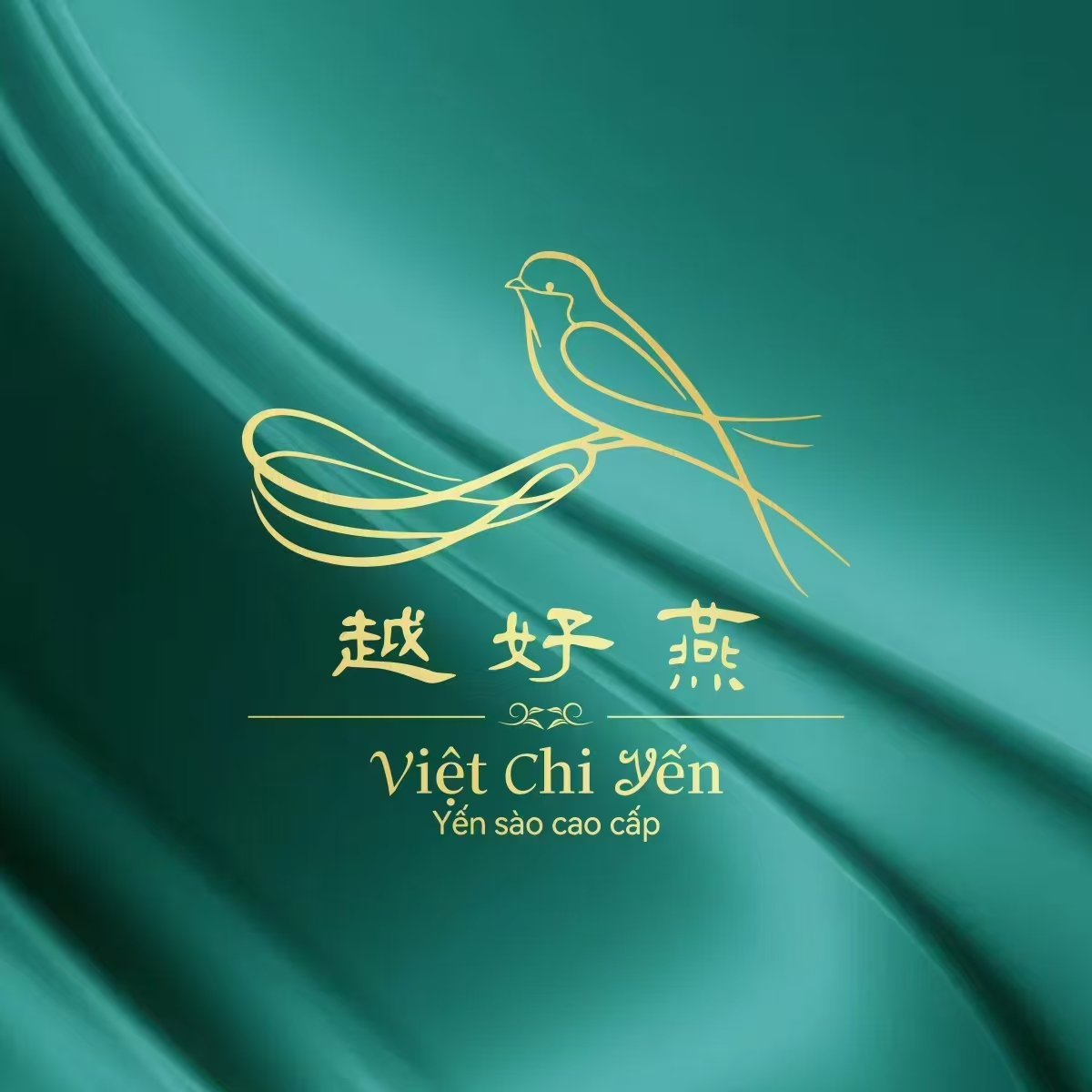 www.anmain.cn